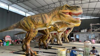 จีน Zigong Co-Creation Culture & Arts Co., Ltd. โปรไฟล์บริษัท