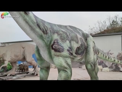 Theme Park 12M Animatronic Brontosaurus Life Size Animatronic Dinosaur โมเดลที่เหมือนจริงสำหรับ Jurassic