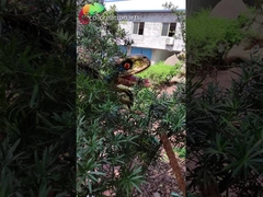 อุปกรณ์สนามเด็กเล่นไดโนเสาร์กันน้ำหุ่นไดโนเสาร์ Animatronic สำหรับ Dino Park