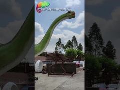 การจำลองแบบหยอดเหรียญขนาดชีวิต Animatronic Dinosaurs 12m Brachiosaurus Models