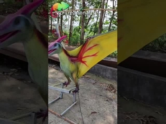 อุปกรณ์สนามเด็กเล่นไดโนเสาร์ Animatronic Pterosaur ที่สมจริง ISO 110VAC