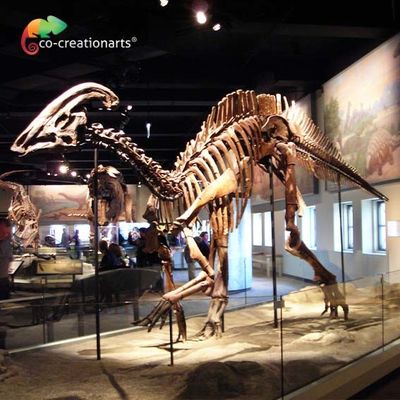 กันน้ำ Jurassic World Replica Parasaurolophus Skeleton ความยาว 15 เมตร