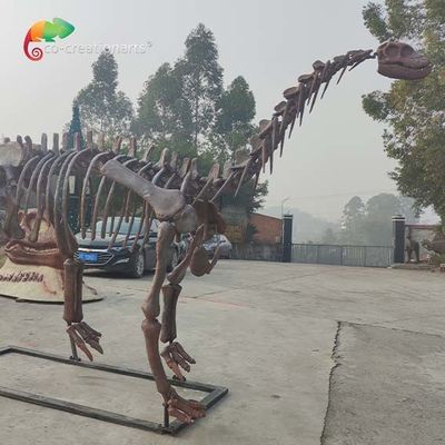 ซื้อ CE Jurassic Park Dinosaur Skeleton Replica Shunosaurus Skeleton ทนทานต่อสภาพอากาศ online manufacture