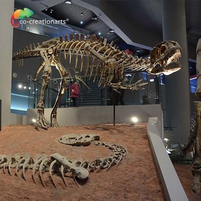 ซื้อ landscape decoration Outdoor Yangchuanosaurus Skeleton Dinosaur Replica Fossil online manufacture