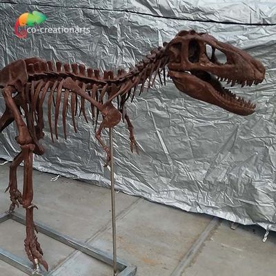 ซื้อ การปรับแต่งส่วนบุคคล Dinosaur Bone Replica T Rex Skull Replica online manufacture