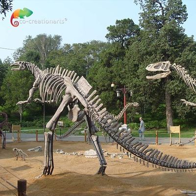 ซื้อ ไฟเบอร์กลาสขนาดชีวิตไดโนเสาร์กะโหลกจำลอง Hadrosaurus Skeleton ต่อต้านริ้วรอย online manufacture