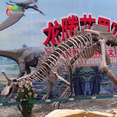 ซื้อ ตกแต่งสวนไดโนเสาร์ฟอสซิลจำลองขนาดชีวิต Tsintaosaurus Skeleton Sunproof online manufacture