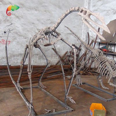 ซื้อ พิพิธภัณฑ์นิทรรศการเรซิ่น Dinosaur Skeleton Quetzalcoatlus Skeleton ปรับแต่งได้ online manufacture