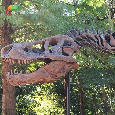 ความต้านทานต่อสภาพอากาศ T Rex Skeleton Replica
