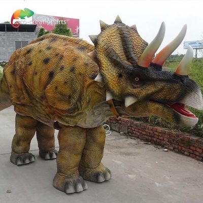 ชุดไดโนเสาร์ Triceratops สำหรับผู้ใหญ่สองตัว