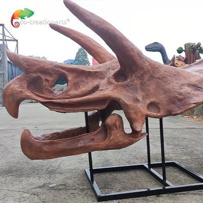 ซื้อ Jurassic World Replica Triceratops Skeleton Sunproof สำหรับพิพิธภัณฑ์ online manufacture