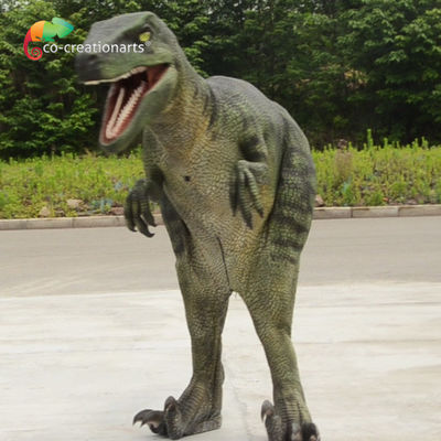 ราคาดี 1.7m Animatronic ไดโนเสาร์ Velociraptor Costume เรียลิสติก สร้างฉาก Jurassic ที่น่าทึ่ง ออนไลน์