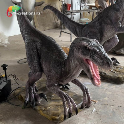สวนสนุก ขนาดชีวิต ไดโนเสาร์อานิมาทรอนิก Velociraptor อานิมาทรอนิก ด้วยการเคลื่อนไหวและเสียงที่จริง