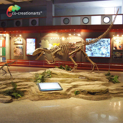 ราคาดี โครงกระดูกไดโนเสาร์เรซิ่นกันแดด Gasosaurus Skull ออนไลน์
