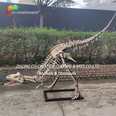 ราคาดี เหรียญตกแต่งกลางแจ้งที่ละเอียดมาก รูปแบบกระดูกไดโนเสาร์ กระดูก T-Rex ออนไลน์