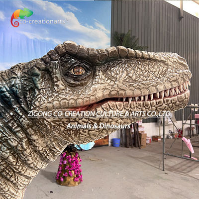 ไดโนเสาร์ Velociraptor ที่เป็นจริง: สถานที่นิทรรศการแบบไดนามิก ด้วยการเคลื่อนไหวที่คล้ายกับชีวิตและผิวหนังที่ละเอียด เพื่อการศึกษาที่ครอบคลุม