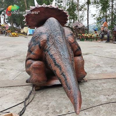 ชื่อ